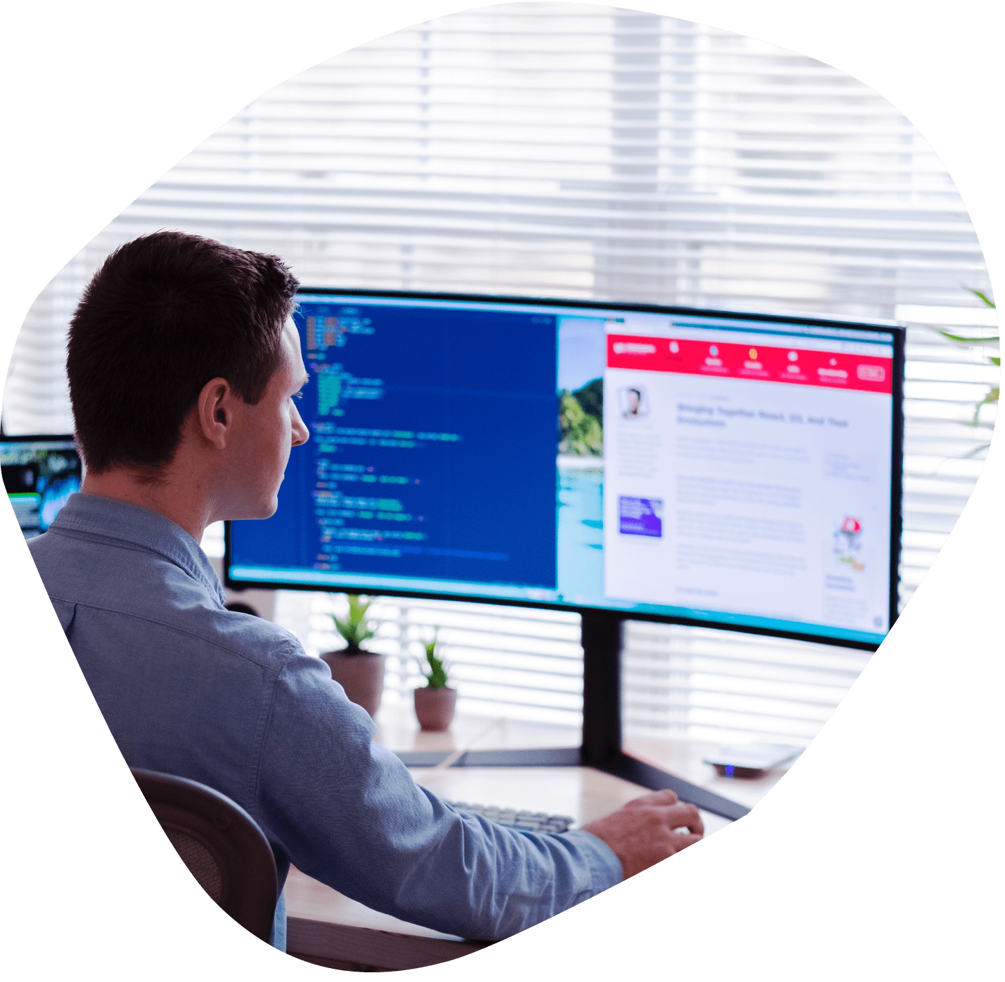 web development
